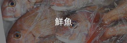 鮮魚