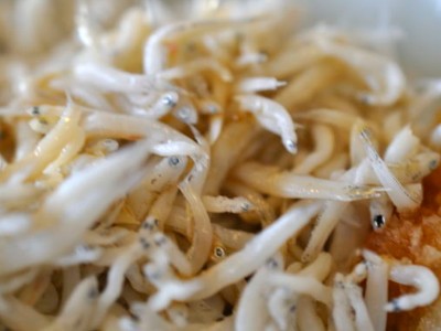 しらすと明太おろしのパスタ 板前が作る本格お魚料理レシピ 京都の鮮魚仲卸 河市水産株式会社